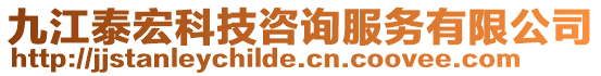 九江泰宏科技咨詢服務(wù)有限公司