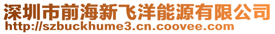 深圳市前海新飛洋能源有限公司