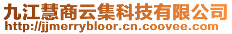 九江慧商云集科技有限公司