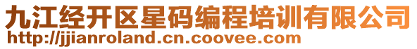 九江經(jīng)開區(qū)星碼編程培訓有限公司