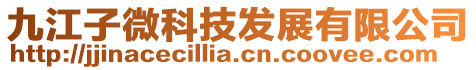 九江子微科技發展有限公司
