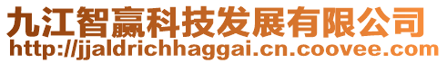 九江智贏科技發(fā)展有限公司