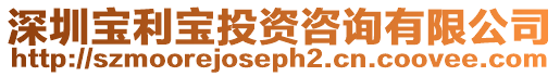 深圳寶利寶投資咨詢有限公司