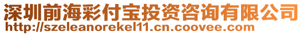 深圳前海彩付寶投資咨詢有限公司