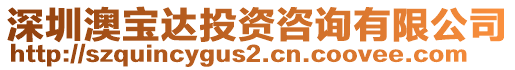 深圳澳寶達投資咨詢有限公司