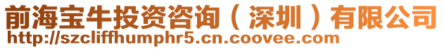前海寶牛投資咨詢（深圳）有限公司