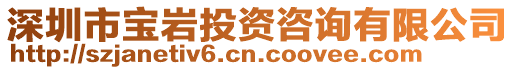 深圳市寶巖投資咨詢有限公司