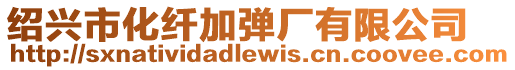 紹興市化纖加彈廠有限公司