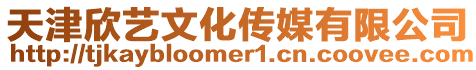 天津欣藝文化傳媒有限公司