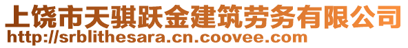 上饒市天騏躍金建筑勞務有限公司