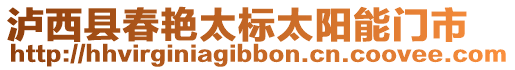 瀘西縣春艷太標太陽能門市