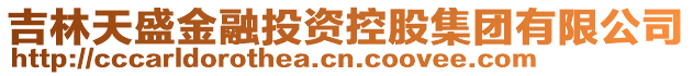 吉林天盛金融投資控股集團(tuán)有限公司