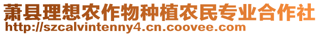 蕭縣理想農(nóng)作物種植農(nóng)民專業(yè)合作社