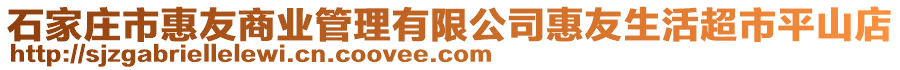 石家莊市惠友商業(yè)管理有限公司惠友生活超市平山店