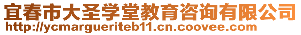 宜春市大圣學(xué)堂教育咨詢有限公司