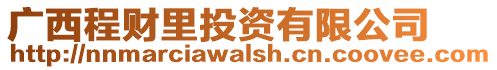 廣西程財里投資有限公司