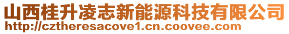 山西桂升凌志新能源科技有限公司