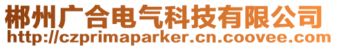 郴州廣合電氣科技有限公司