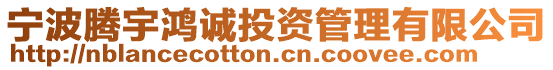 寧波騰宇鴻誠投資管理有限公司