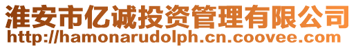 淮安市億誠(chéng)投資管理有限公司