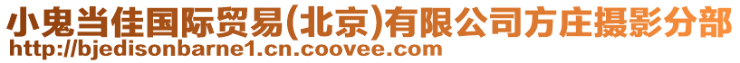 小鬼當(dāng)佳國際貿(mào)易(北京)有限公司方莊攝影分部