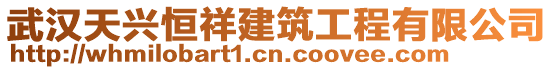 武汉天兴恒祥建筑工程有限公司