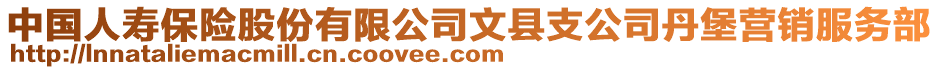 中國(guó)人壽保險(xiǎn)股份有限公司文縣支公司丹堡營(yíng)銷服務(wù)部