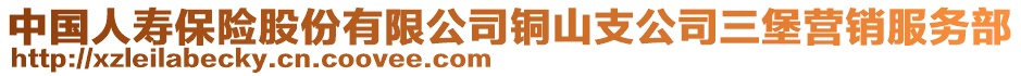 中國(guó)人壽保險(xiǎn)股份有限公司銅山支公司三堡營(yíng)銷服務(wù)部