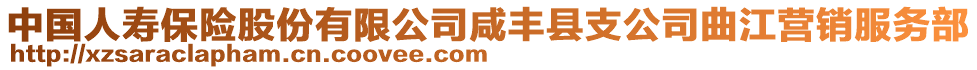 中國人壽保險股份有限公司咸豐縣支公司曲江營銷服務(wù)部