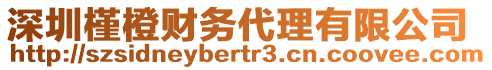 深圳槿橙財務代理有限公司