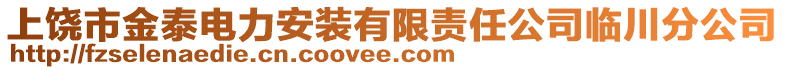 上饒市金泰電力安裝有限責(zé)任公司臨川分公司