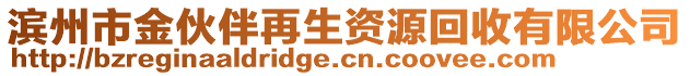 濱州市金伙伴再生資源回收有限公司