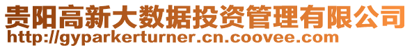 貴陽高新大數(shù)據(jù)投資管理有限公司