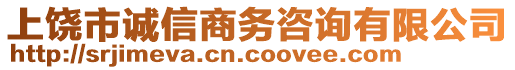 上饒市誠信商務咨詢有限公司