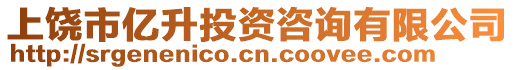 上饒市億升投資咨詢有限公司