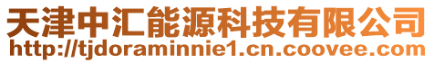 天津中匯能源科技有限公司