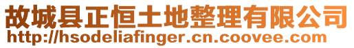 故城縣正恒土地整理有限公司