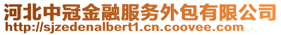 河北中冠金融服務(wù)外包有限公司