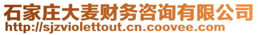 石家莊大麥財(cái)務(wù)咨詢(xún)有限公司