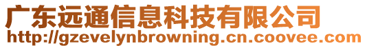 廣東遠通信息科技有限公司