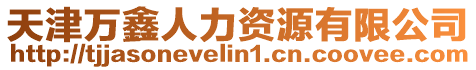 天津萬鑫人力資源有限公司