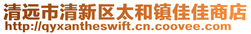 清遠市清新區(qū)太和鎮(zhèn)佳佳商店