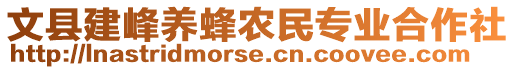 文縣建峰養(yǎng)蜂農(nóng)民專業(yè)合作社