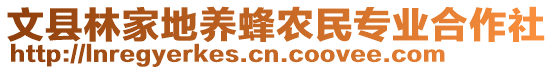 文縣林家地養(yǎng)蜂農(nóng)民專業(yè)合作社