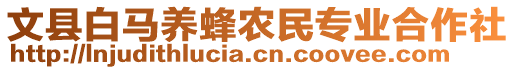 文縣白馬養(yǎng)蜂農(nóng)民專業(yè)合作社