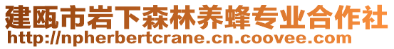 建甌市巖下森林養(yǎng)蜂專業(yè)合作社