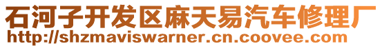 石河子開發區麻天易汽車修理廠