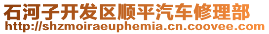 石河子開發(fā)區(qū)順平汽車修理部