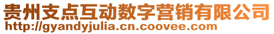 贵州支点互动数字营销有限公司