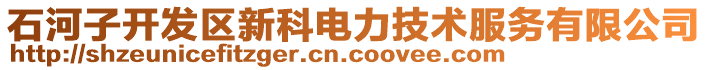 石河子開發(fā)區(qū)新科電力技術(shù)服務有限公司